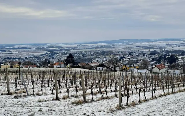 Foto: Thomas Stipits