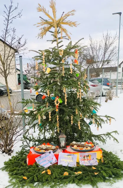 Foto: Sylvia Kremsner