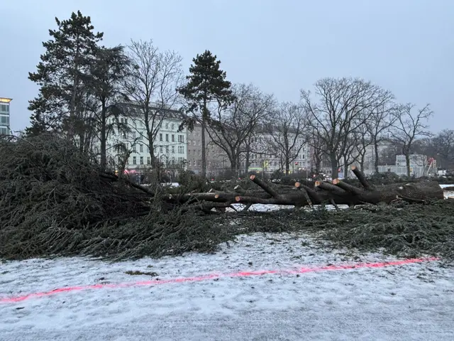 Foto: Mathias Kautzky/MeinBezirk