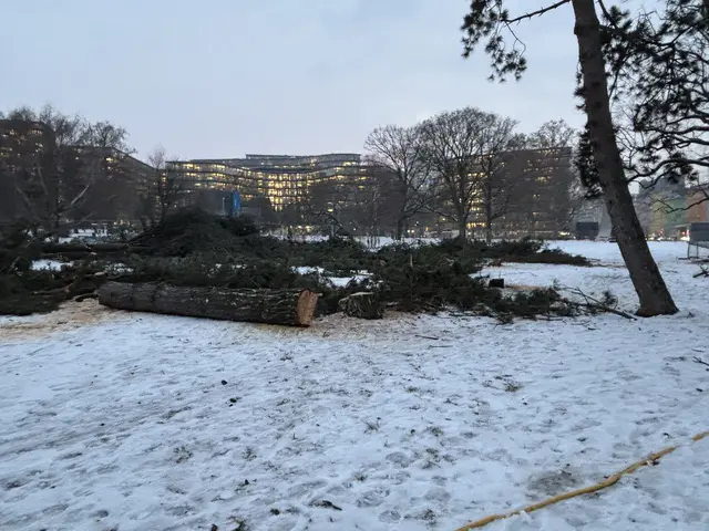Foto: Mathias Kautzky/MeinBezirk
