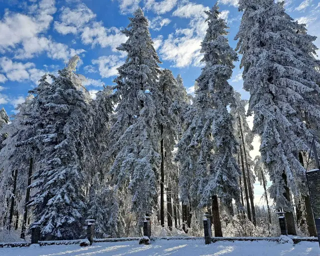 Foto: Thomas Stipits