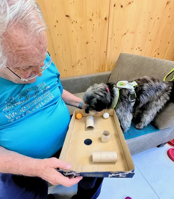 Foto: Foto: Pfote mit Herz