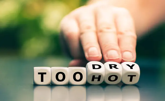 Im Bezirk Ried war es 2025 zu heiß und zu trocken. | Foto: smarterpix/Fokussiert