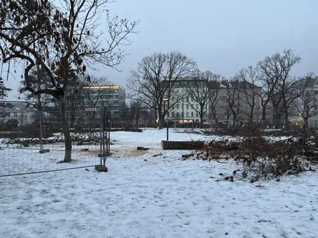 Foto: Mathias Kautzky/MeinBezirk