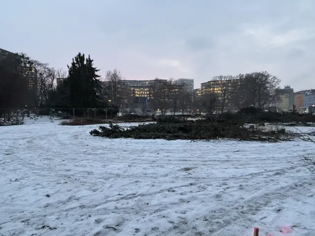 Foto: Mathias Kautzky/MeinBezirk