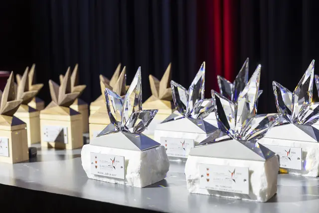 "Glanzleistung – das junge Ehrenamt“ würdigt besonderes ehrenamtliches Engagement in Tirol, Südtirol und dem Trentino. | Foto: Land Tirol/Die Fotografen