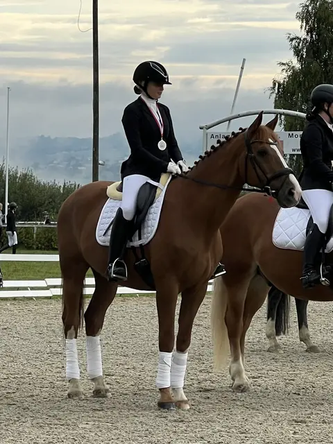 Foto: Reit- und Fahrverein St. Marienkirchen