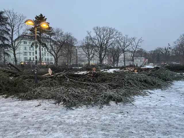 Foto: Mathias Kautzky/MeinBezirk