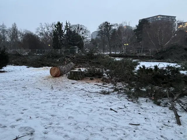 Foto: Mathias Kautzky/MeinBezirk