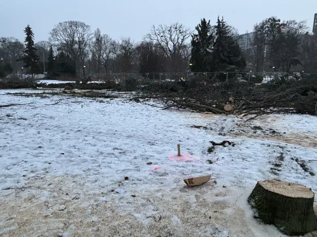 Foto: Mathias Kautzky/MeinBezirk