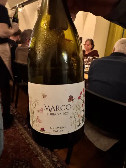 Foto: Andrea Glatzer