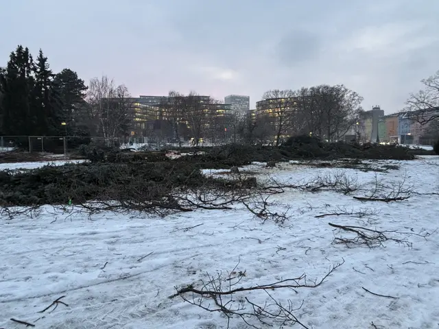 Foto: Mathias Kautzky/MeinBezirk