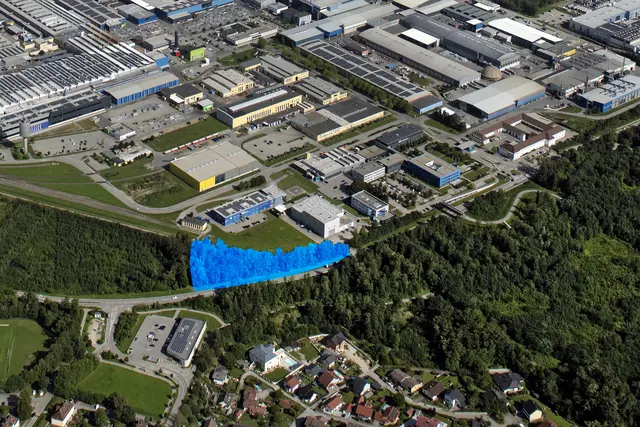 Im blau markierten Bereich führt die AMAG in der ersten Februarwoche Forstarbeiten durch. Es kann zu punktuellen Verkehrsverzögerungen kommen.  | Foto: AMAG