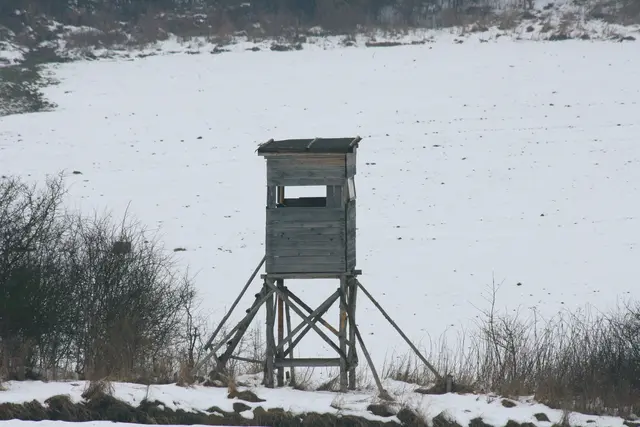 Von einem Hochsitz aus im Gemeindegebiet von St. Marein lauerte der Jäger auf Füchse.  | Foto: Symbolbild panthermedia/hadot