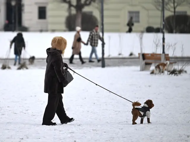 In den kommenden zwei Tagen wird sich die Sonne mehr zeigen, als in den Tagen zuvor. Es bleibt jedoch kalt – und am Samstag könnte es auch Glätte geben. | Foto: APA-Images / APA / HELMUT FOHRINGER