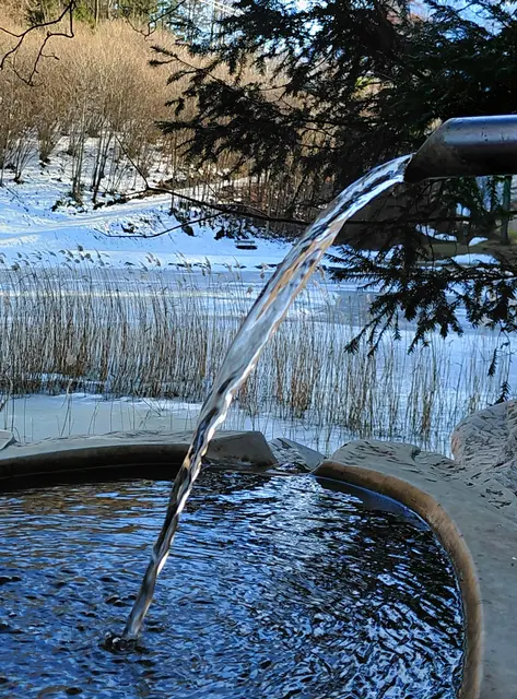 Egelsee in Golling | Foto: H.Bachinger