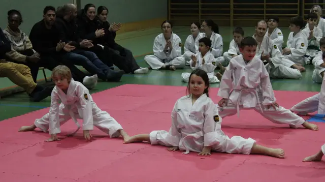 Gürtelprüfung - Vorbereitung