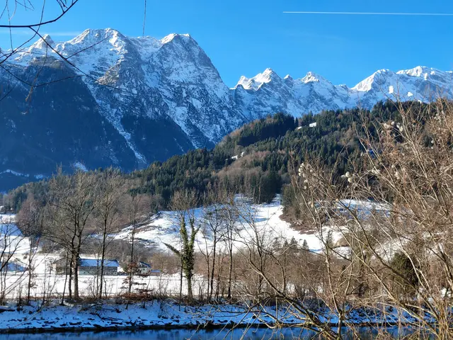 Göll | Foto: H.Bachinger