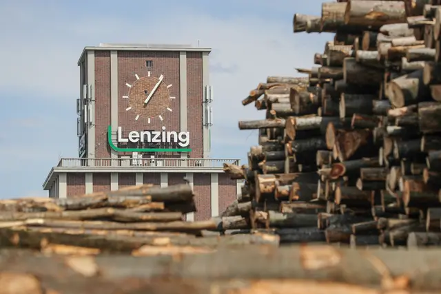 Lenzing achtet auf eine ausschließlich nachhaltige Beschaffung von Holz. | Foto: Lenzing AG/Franz Neumayr