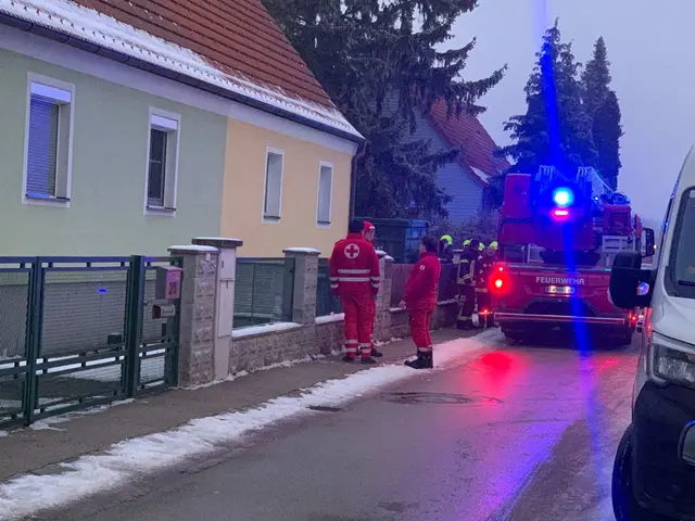 Auch die Rettung stand bereit. | Foto: DOKU-NÖ