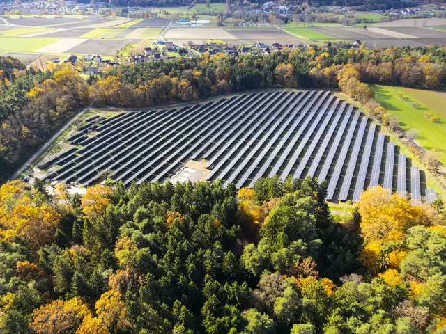 Auf über fünf Hektar werden nun rund 7.000 Kilowattstunden an Strom produziert. | Foto: Rogner Bad Blumau
