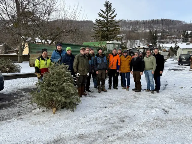 Freiwillige Helfer sammelten die ausgedienten Christbäume ein. | Foto: ÖVP Stadt Lilienfeld