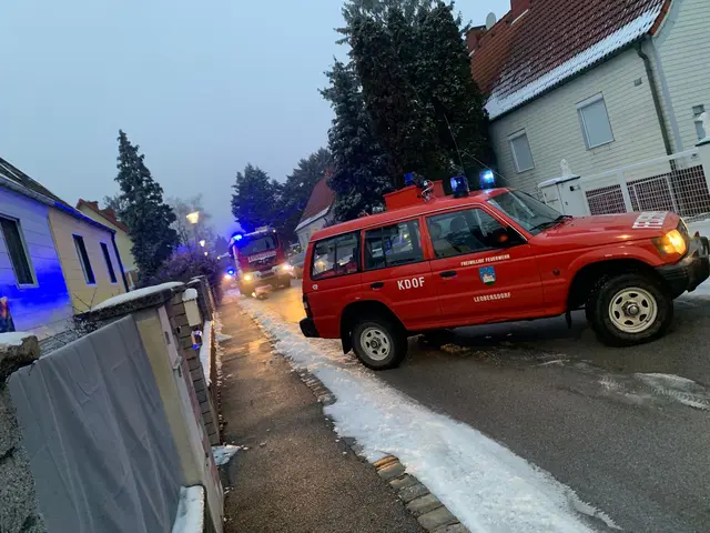 Feuerwehr im Einsatz. | Foto: DOKU-NÖ