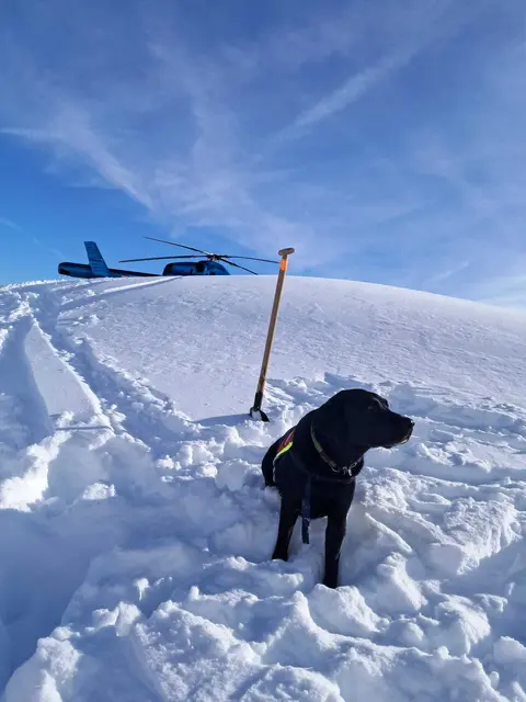 Lawinenabgang am Finsterkopf (Großarltal)  | Foto: Hundestaffel Bergrettung