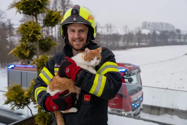 Die Katze konnte unversehrt gerettet werden. | Foto: TEAM FOTOKERSCHI / DANIEL NEULINGER