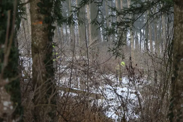 Foto: laumat/Matthias Lauber