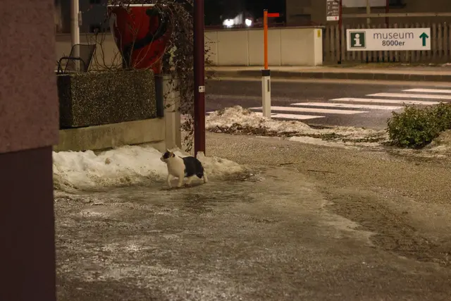 Foto: laumat/Matthias Lauber