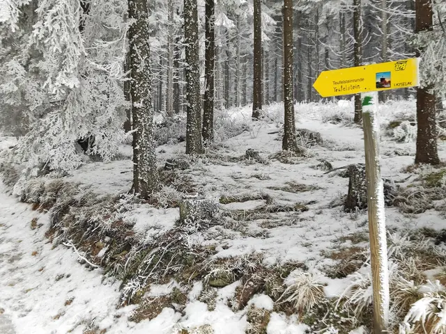 Der Weg ist gut beschildert und markiert... | Foto: I.Wozonig 