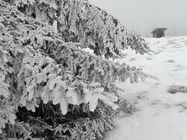 Blick zurück... | Foto: I.Wozonig 