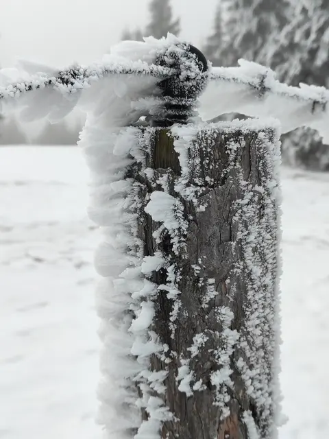 Der Wind formt die schönen Spitzen... | Foto: I.Wozonig 