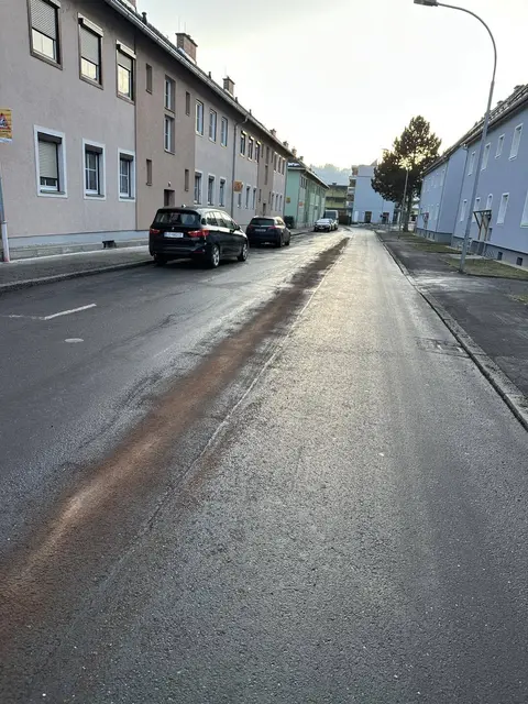 Eine umfangreiche Ölspur von der Max-Kober-Gasse über die Steigtalstraße bis in die Turmgasse forderte Freitagnachmittag die Einsatzkräfte.
 | Foto: FF Leoben-Göss