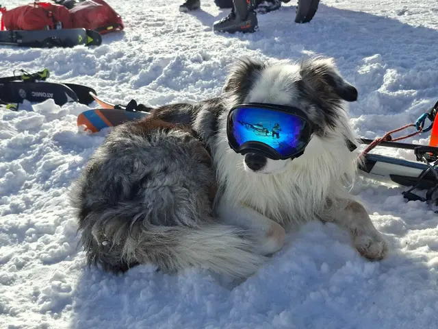 Lawinenabgang Schmugglerscharte Bad Hofgastein.  | Foto: Bergrettung Pongau