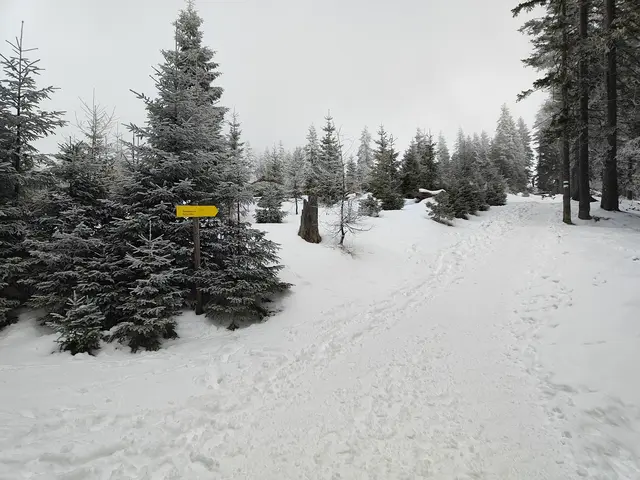 Noch ein Stück die Bergkuppe entlang... | Foto: I.Wozonig 