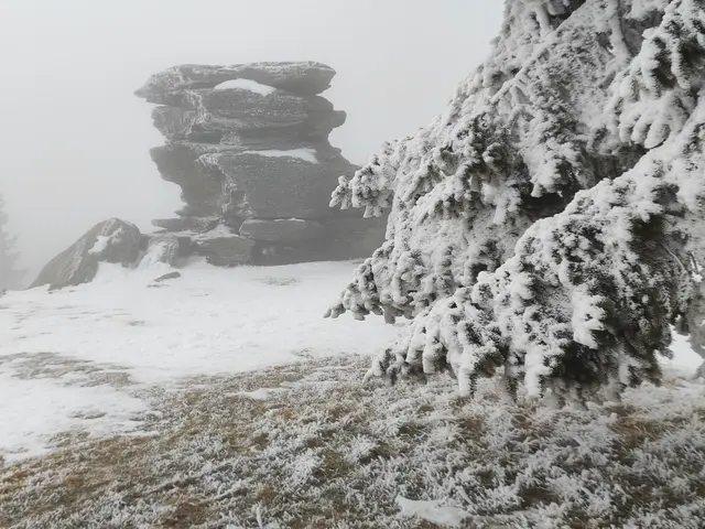 Der Platz ist wahrlich ein Kraftplatz... | Foto: I.Wozonig 