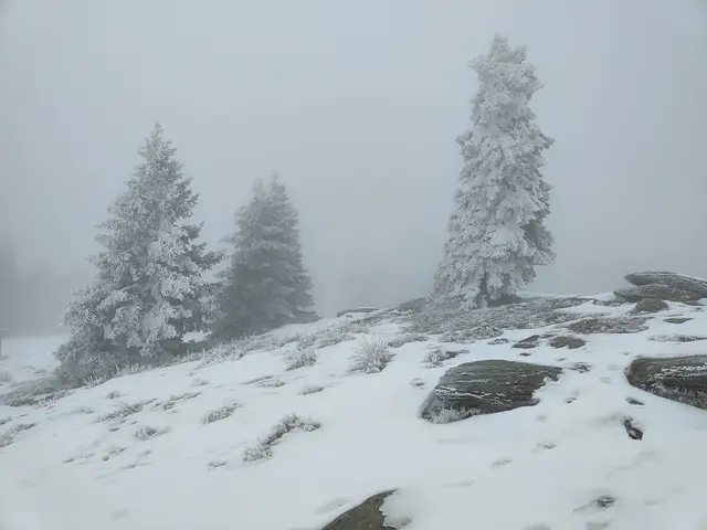 Nebelfetzen ziehen über den Berg, der Wind rauscht... | Foto: I.Wozonig 