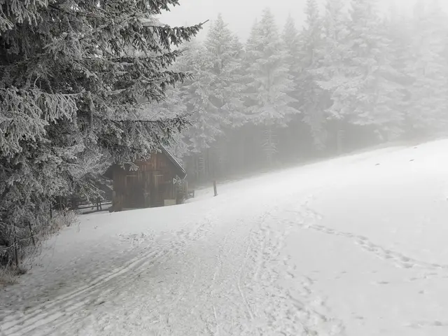Man überquert die Wiese... | Foto: I.Wozonig 