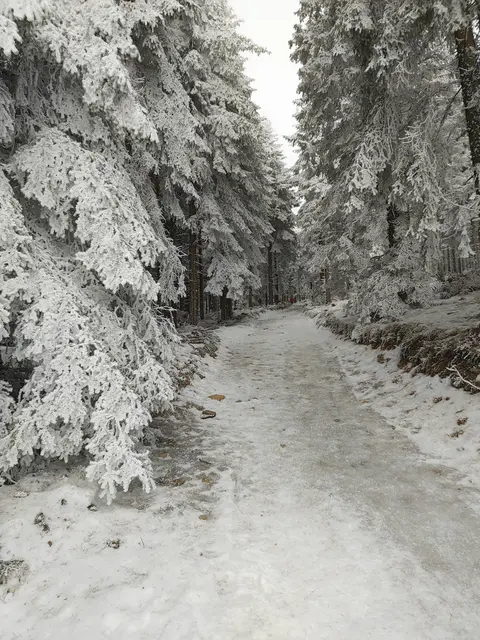 Krickerln leisten hier gute Dienste... | Foto: I.Wozonig