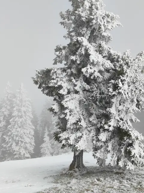 Ohne Worte... | Foto: I.Wozonig 