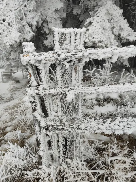 Auch der Zaun hat sich geschmückt... | Foto: I.Wozonig