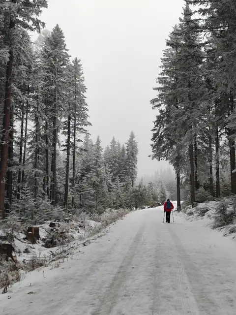 Stellenweise eisig, aber sonst gemütlich geht es dahin... | Foto: I.Wozonig 