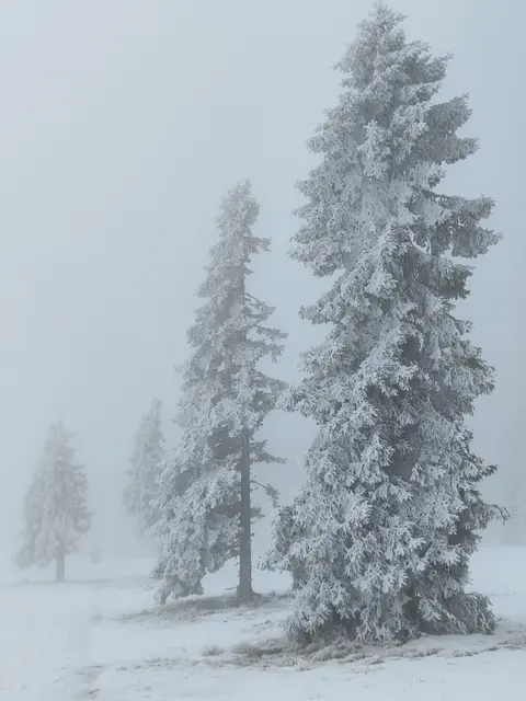 Man staunt und staunt und staunt... | Foto: I.Wozonig 