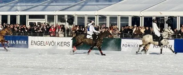 Foto: Nikolaus Kogler