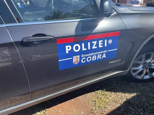 Die vier Hauptverdächtigen seien am 4. November 2025 im Zuge eines Cobra-Einsatzes festgenommen worden. (Archivfoto) | Foto: Woche Kärnten