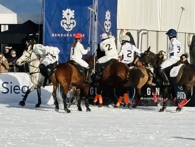 Foto: Nikolaus Kogler
