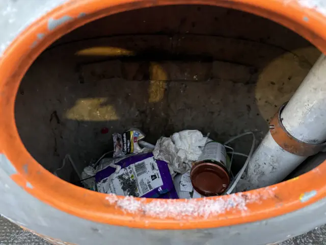 Um an wertvolle Cents zu kommen, erlauben sich immer öfters Menschen den Griff in die Mülltonne. Mit Pfandringen könnte man Bedürftigen das grausige Herumwühlen ersparen – die Stadt schließt diese jedoch kategorisch aus. Wieso? | Foto: Nathanael Peterlini/MeinBezirk