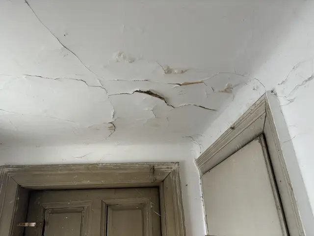 Bilder zeugen vom desolaten Zustand der Immobilie. | Foto: Nathanael Peterlini/MeinBezirk